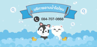 Gou Gou Grooming บริการอาบน้ำตัดแต่งขนน้องหมา-แมว