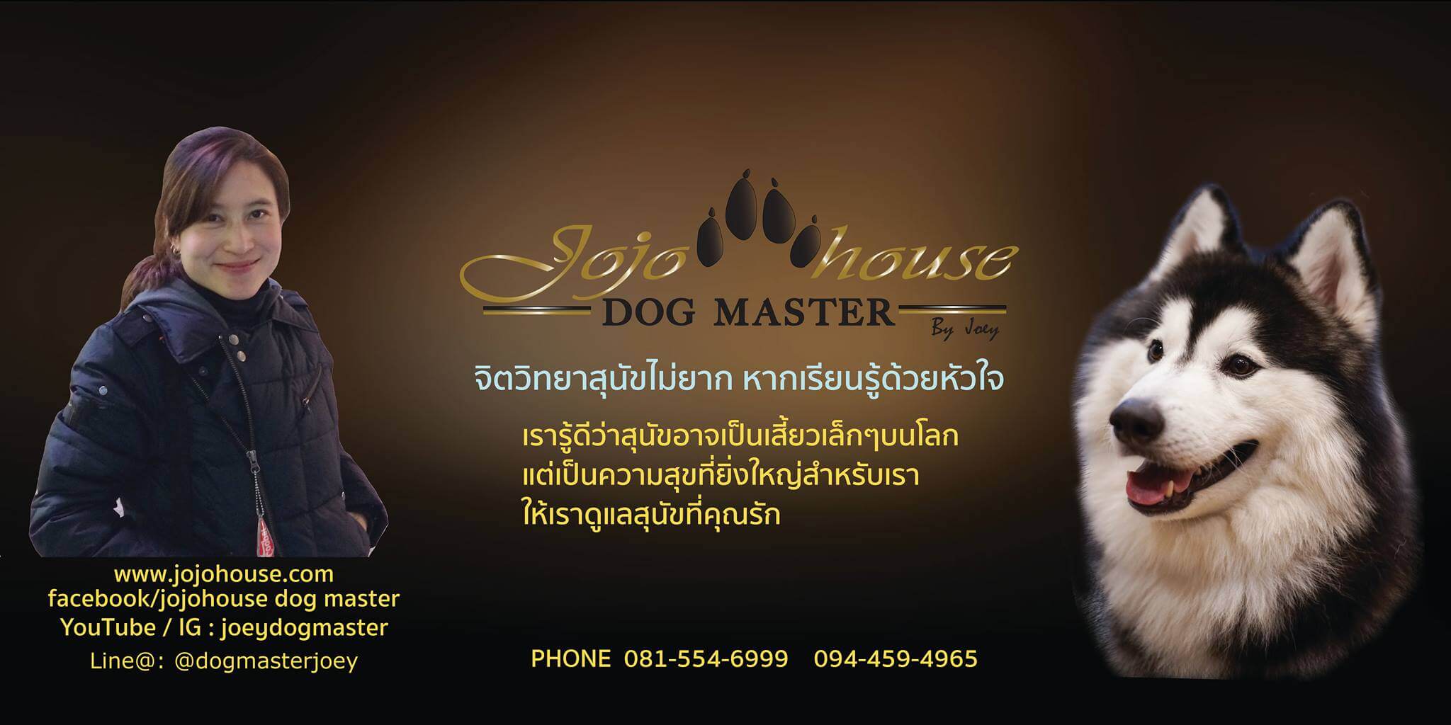 Jojo House Dog Master โรงเรียนรับฝึกสุนัข