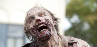 Zombie movies worth watching in 2024