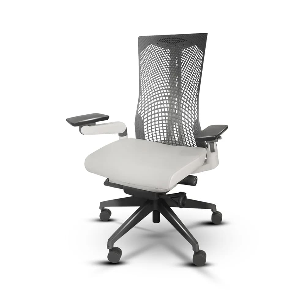 Bewell Ergonomic Chair รุ่น CUDDLE เก้าอี้เพื่อสุขภาพ สร้างสมดุลในการนั่งทำงานด้วยท่าทางถูกต้องได้ไม่