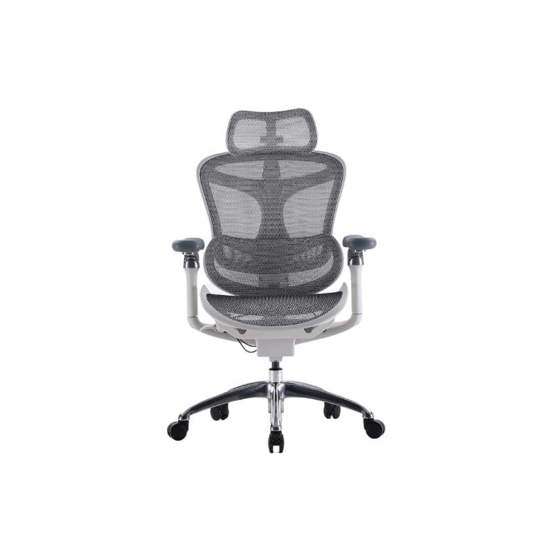 Sihoo Ergonomic Chair รุ่น Homey เก้าอี้เพื่อสุขภาพ ล้ำสมัยกับฟังก์ชั่นเอนตัวและการปรับระดับเก้าอี้ไ